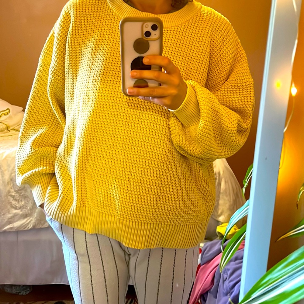 NWOT Cropped Sweater